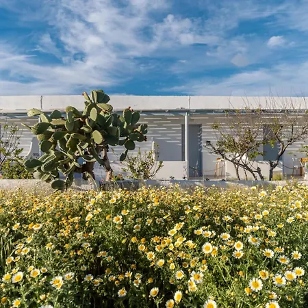 Διαμέρισμα Naxos Beachwalk Naxos City